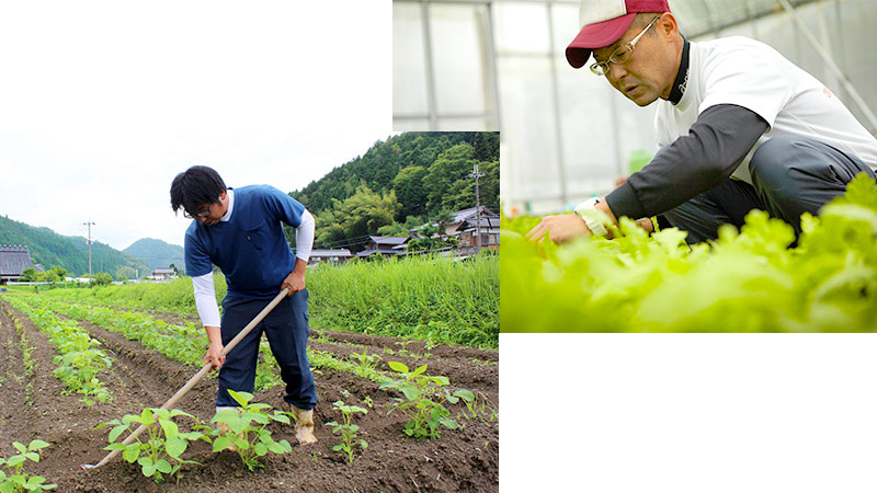 現役世代・若手農業者