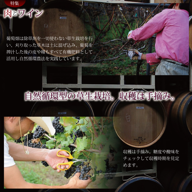 京丹波 肉とワイン特集