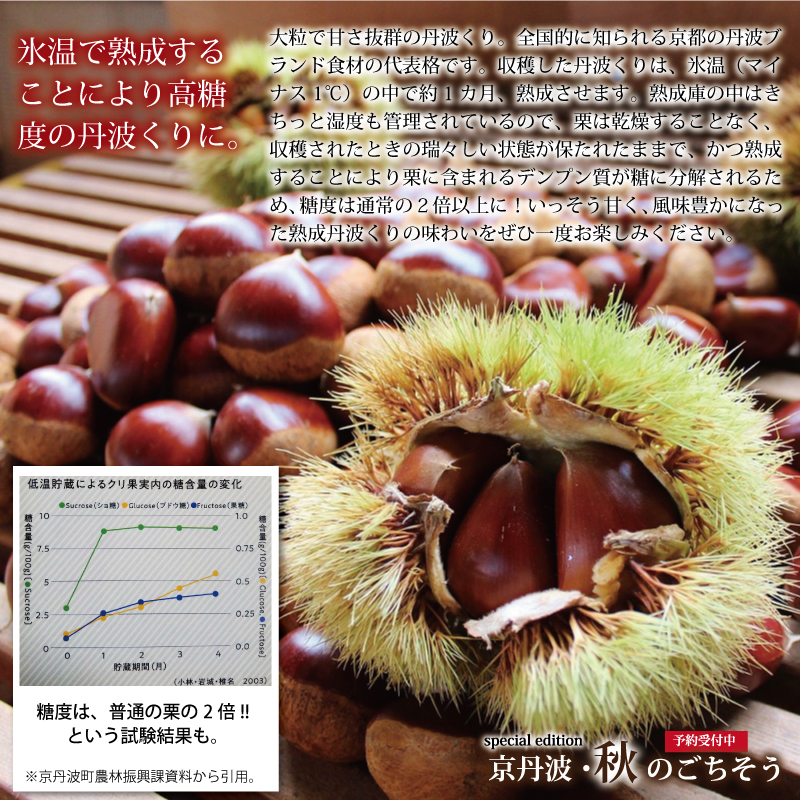 京丹波 京丹波・秋のごちそう特集 丹波栗