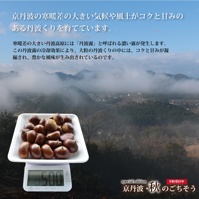 京丹波 京丹波・秋のごちそう特集 丹波栗