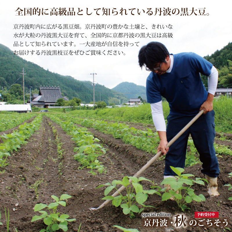 京丹波 京丹波・秋のごちそう特集 丹波黒豆枝豆