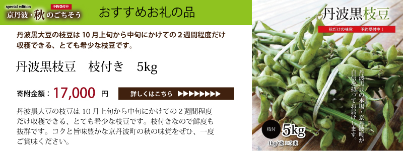 京丹波 京丹波・秋のごちそう特集 丹波黒豆枝豆