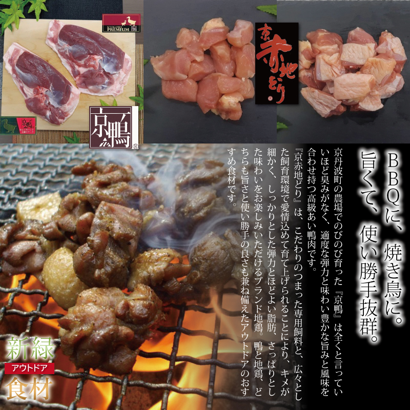 特集「新緑アウトドア食材」