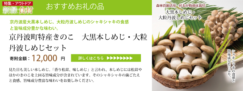 特集「新緑アウトドア食材」