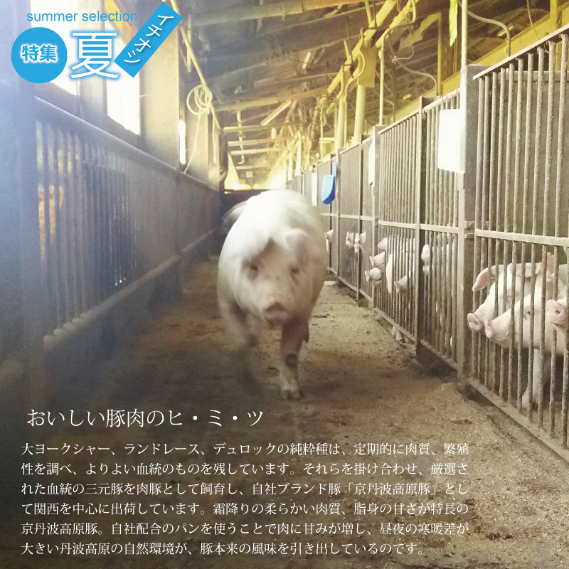 特集「京丹波のイチオシで暑い夏を乗り切ろう♪」