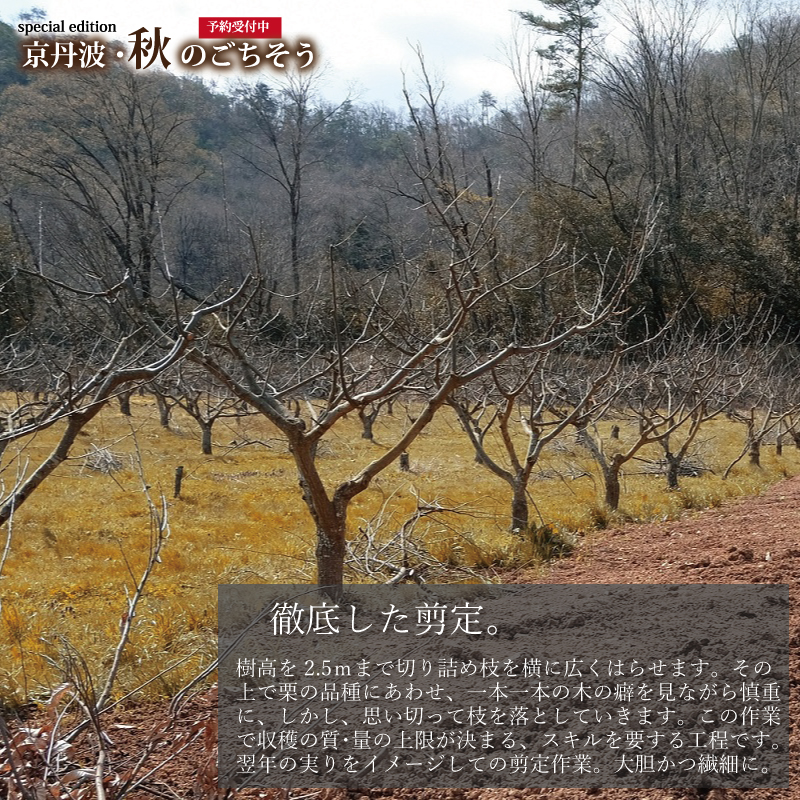 特集「京丹波・秋のごちそう」