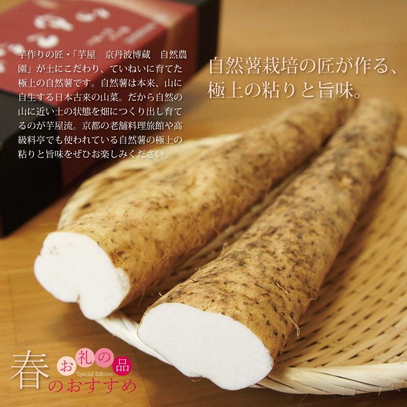 特集「春のおすすめお礼の品特集」