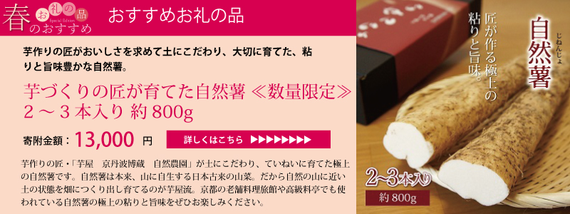 特集「春のおすすめお礼の品特集」
