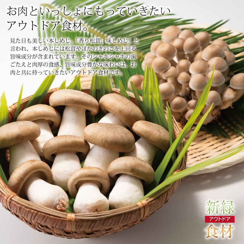 特集「新緑アウトドア食材」
