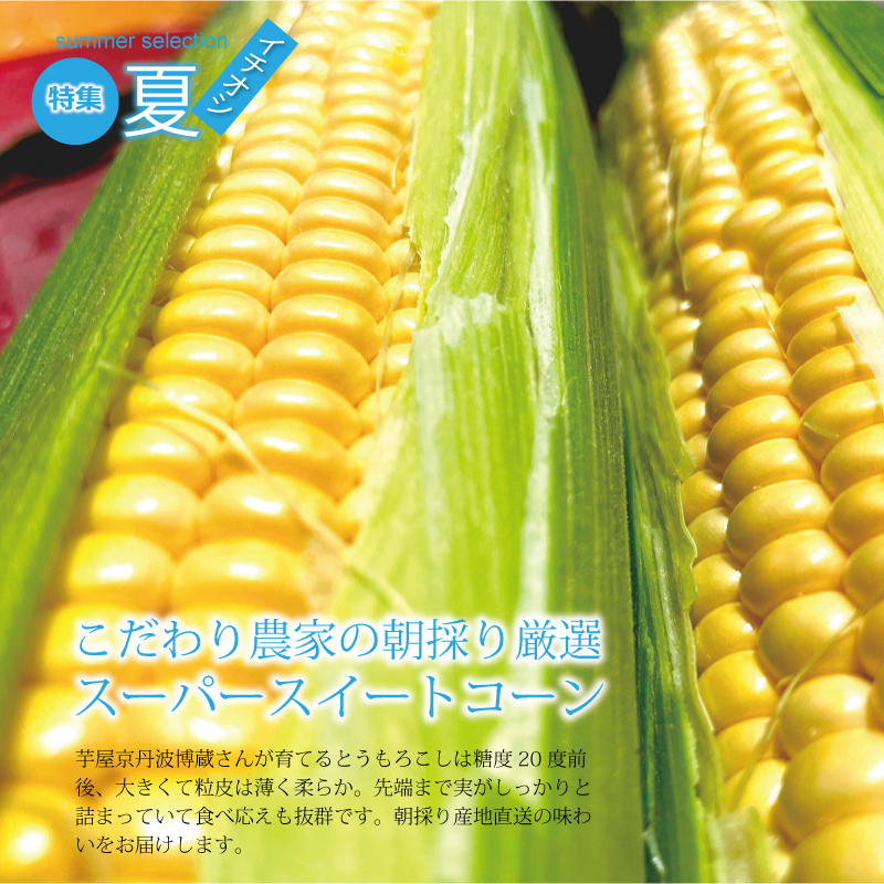 特集「京丹波のイチオシで夏を乗り切ろう♪」