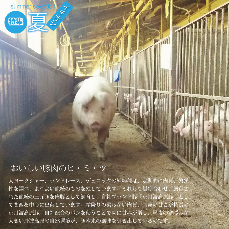 特集「京丹波のイチオシで夏を乗り切ろう♪」