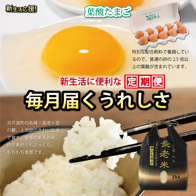 特集「新生活応援」