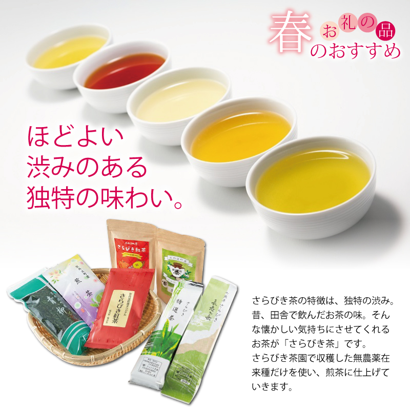 特集「春のおすすめお礼の品」