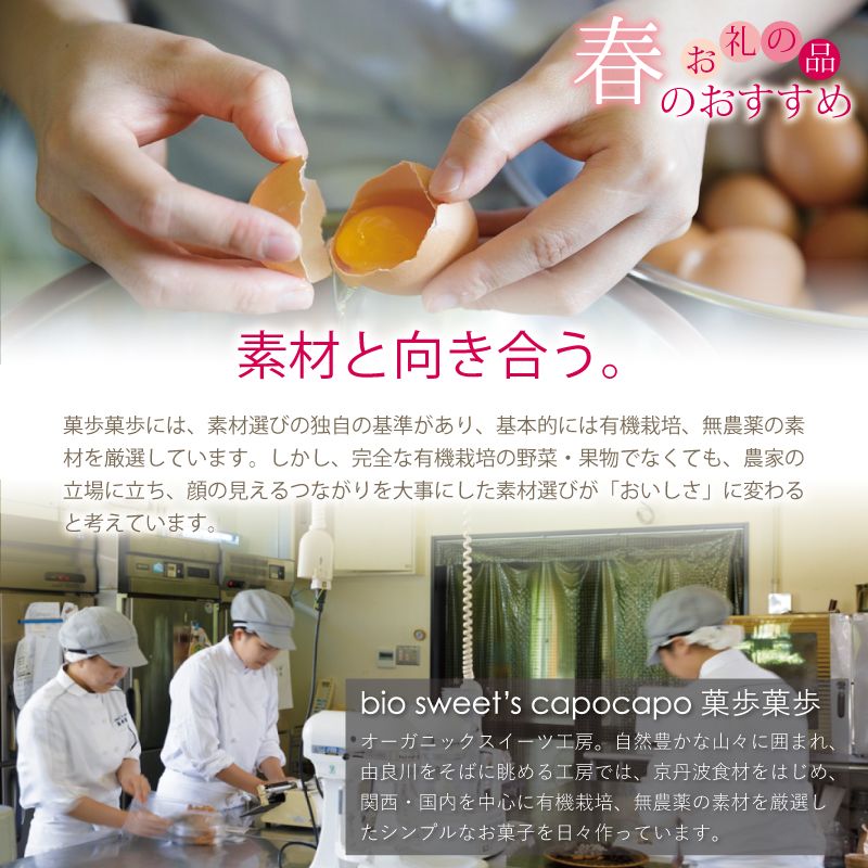 特集「春のおすすめお礼の品」