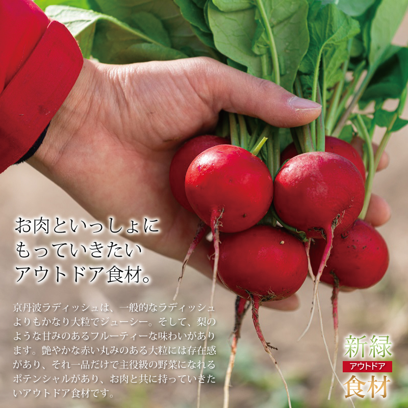 特集「新緑アウトドア食材」