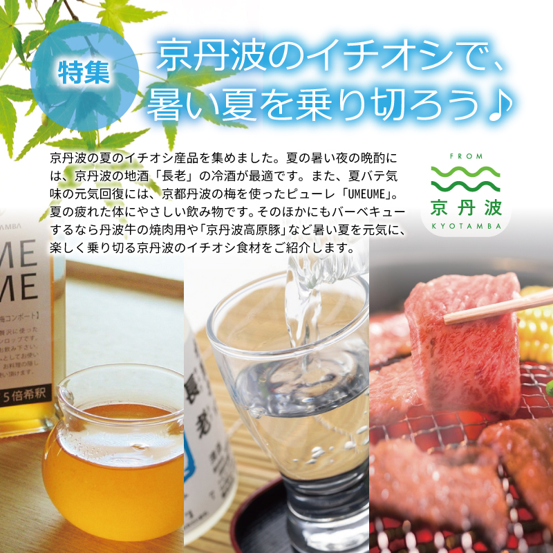 京丹波 京丹波・夏のおすすめお礼の品