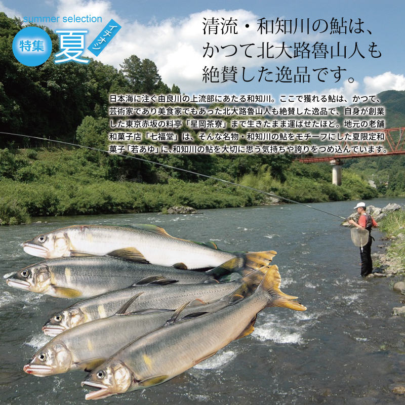 京丹波 京丹波・夏のおすすめお礼の品