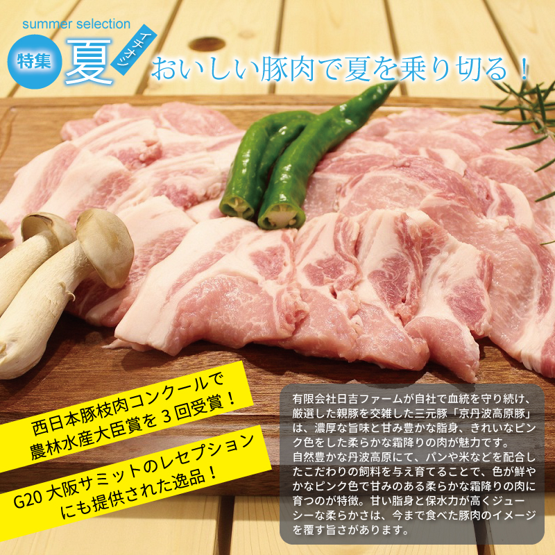 京丹波 京丹波・夏のおすすめお礼の品