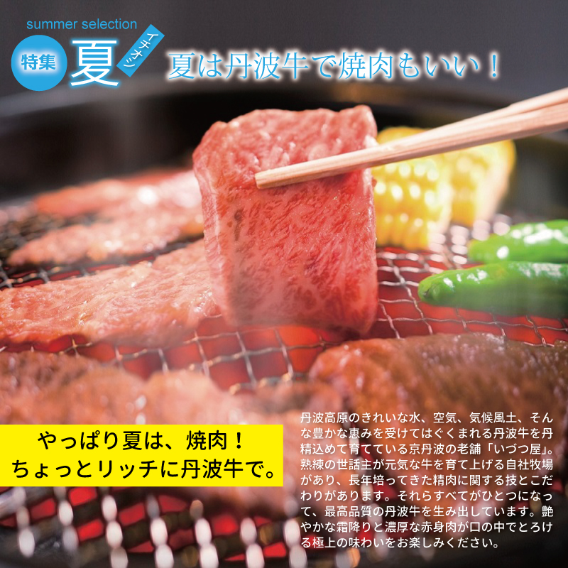 京丹波 京丹波・夏のおすすめお礼の品