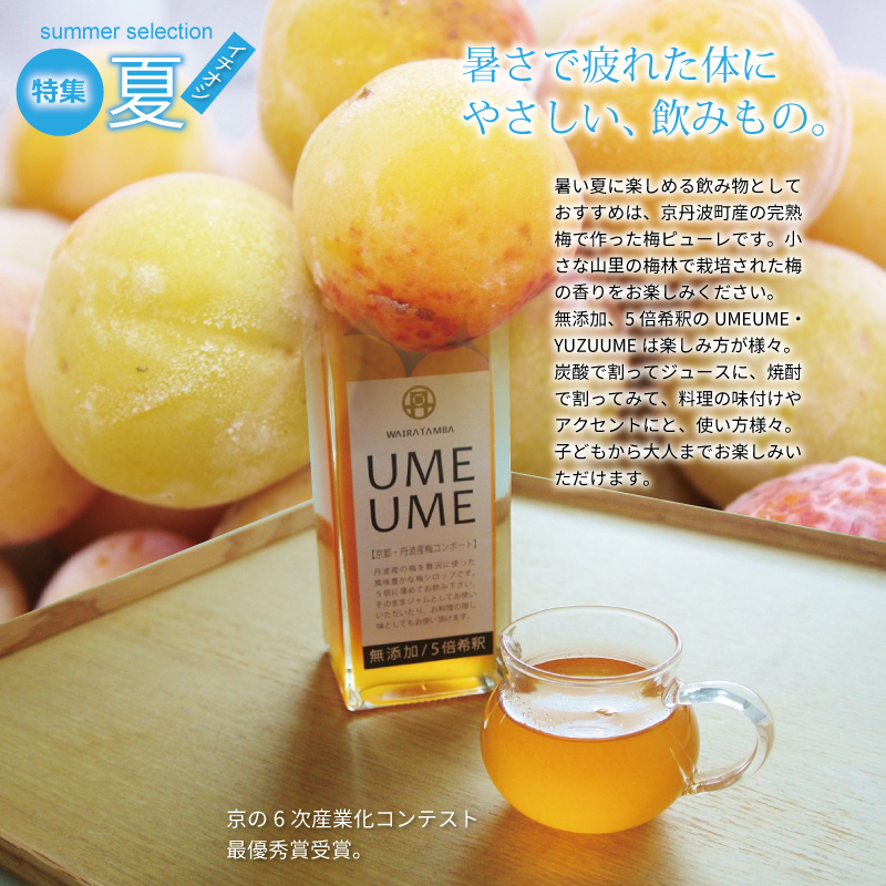 京丹波 京丹波・夏のおすすめお礼の品
