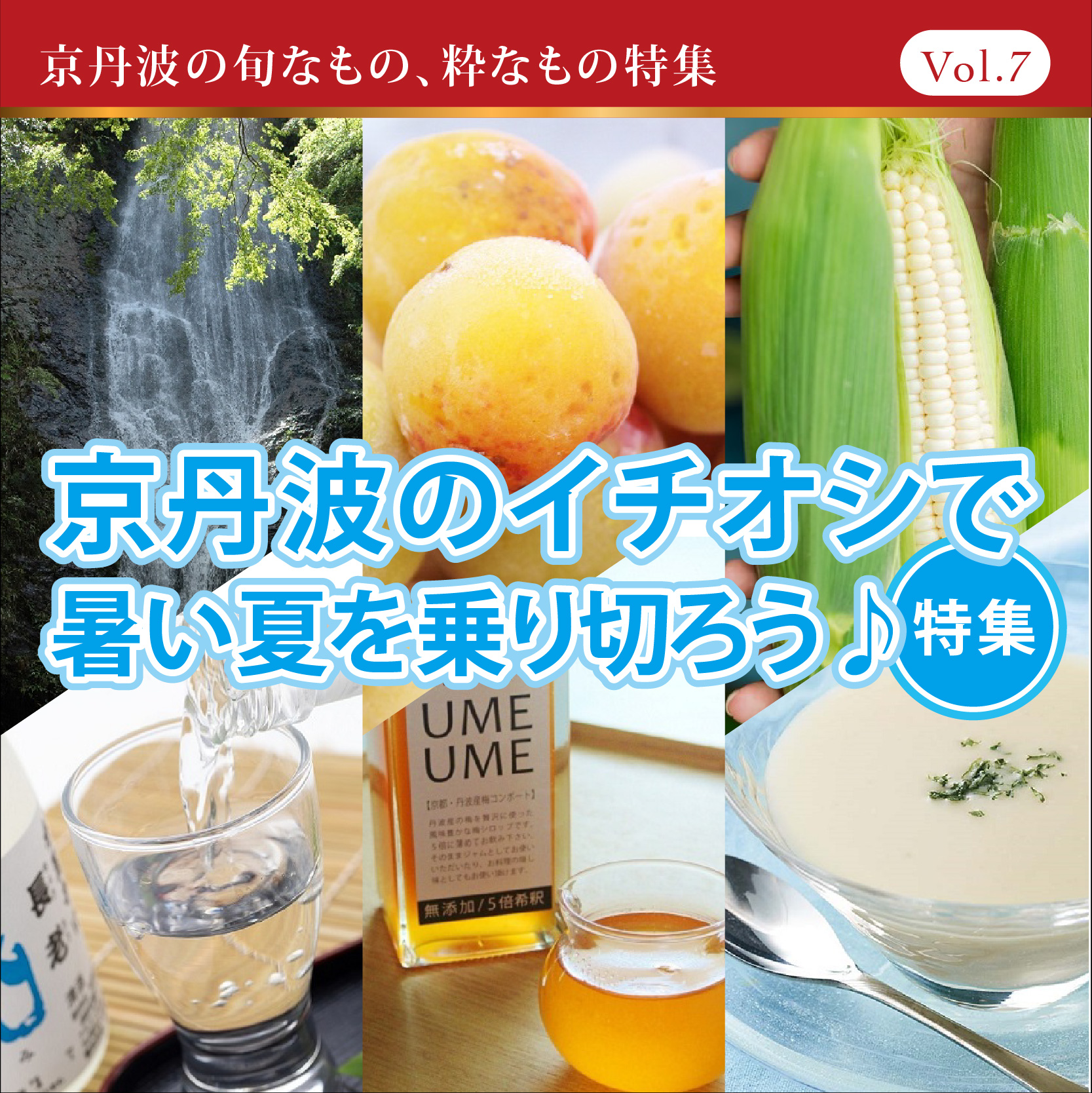 ＜特集＞京丹波のイチオシで暑い夏を乗り切ろう♪