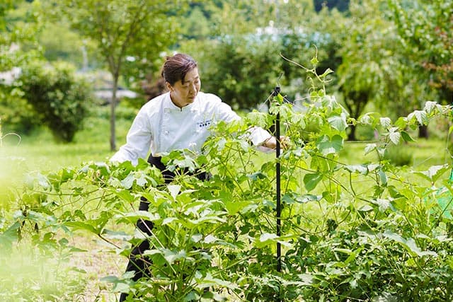 菓歩菓歩